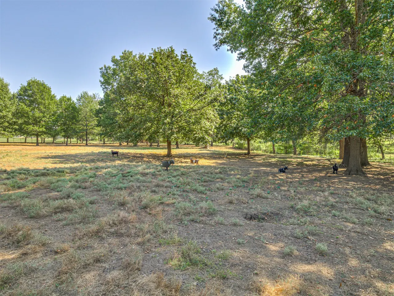 Photo 61 — 1700 College Park Road, Claremore, OK 74017