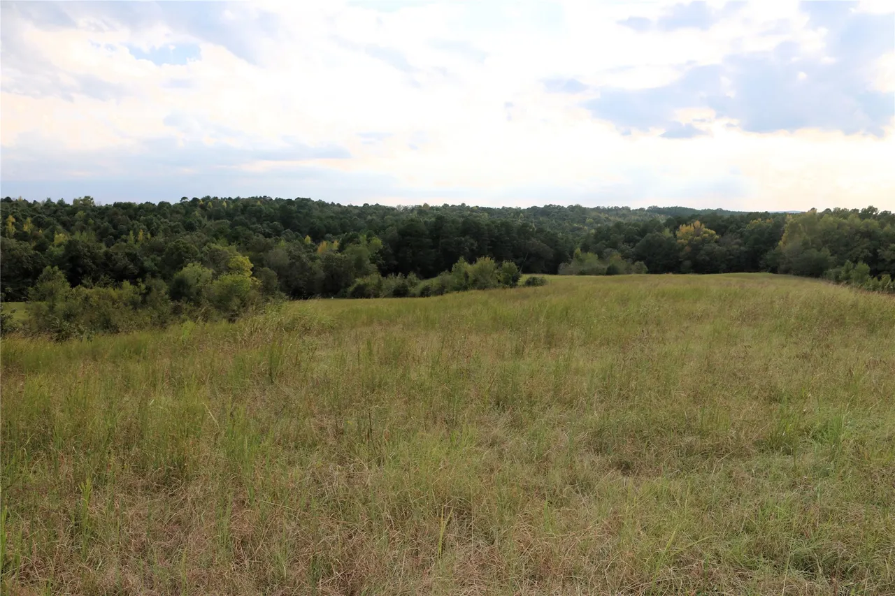 Photo 51 — 4746 Hwy 4 Highway, Smithville, OK 74957