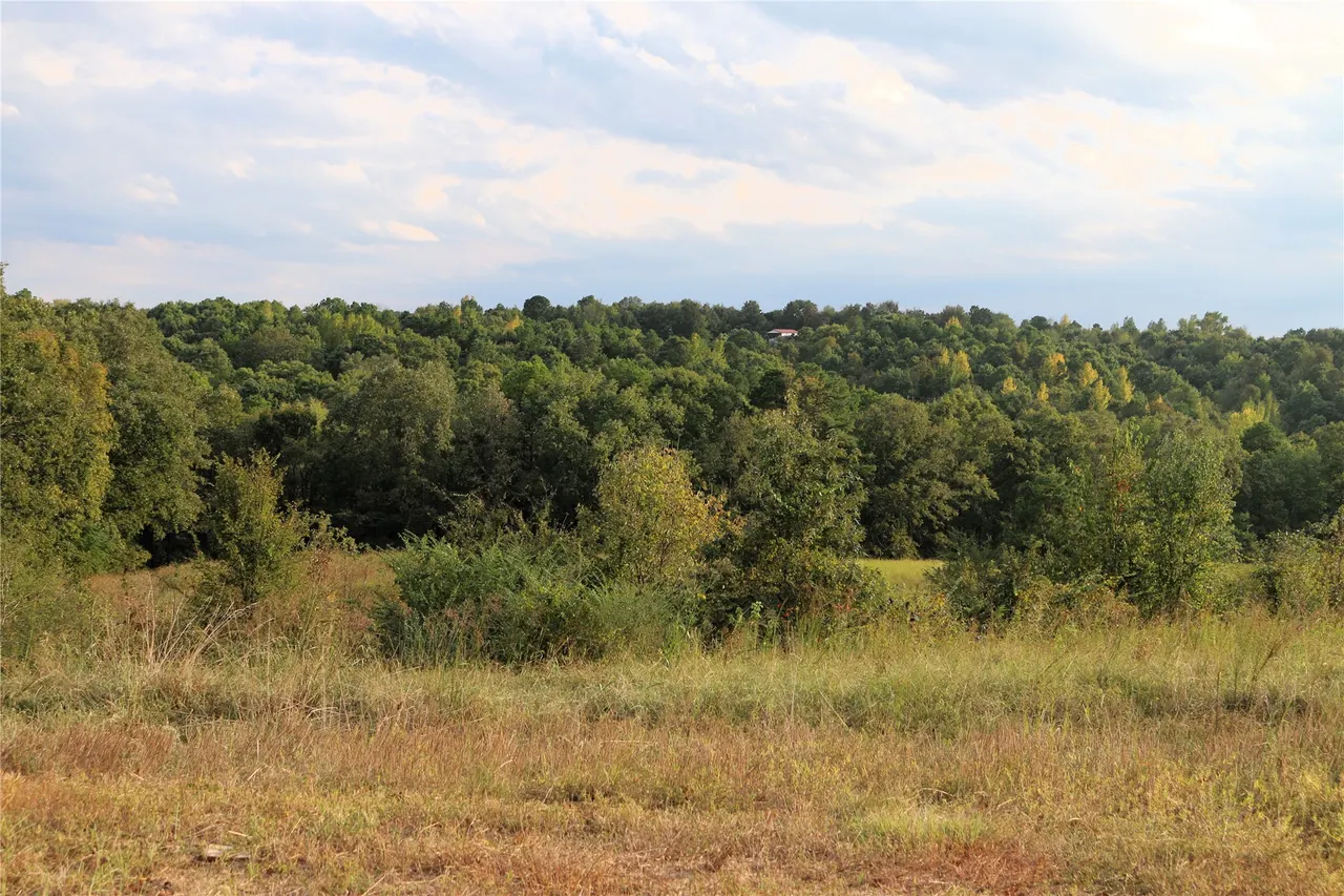 Photo 42 — 4746 Hwy 4 Highway, Smithville, OK 74957
