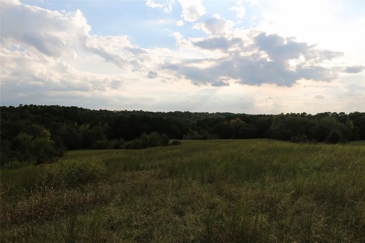 Photo 47 — 4746 Hwy 4 Highway, Smithville, OK 74957