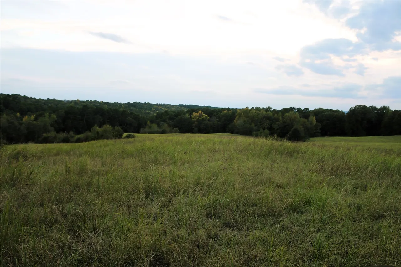 Photo 80 — 4746 Hwy 4 Highway, Smithville, OK 74957