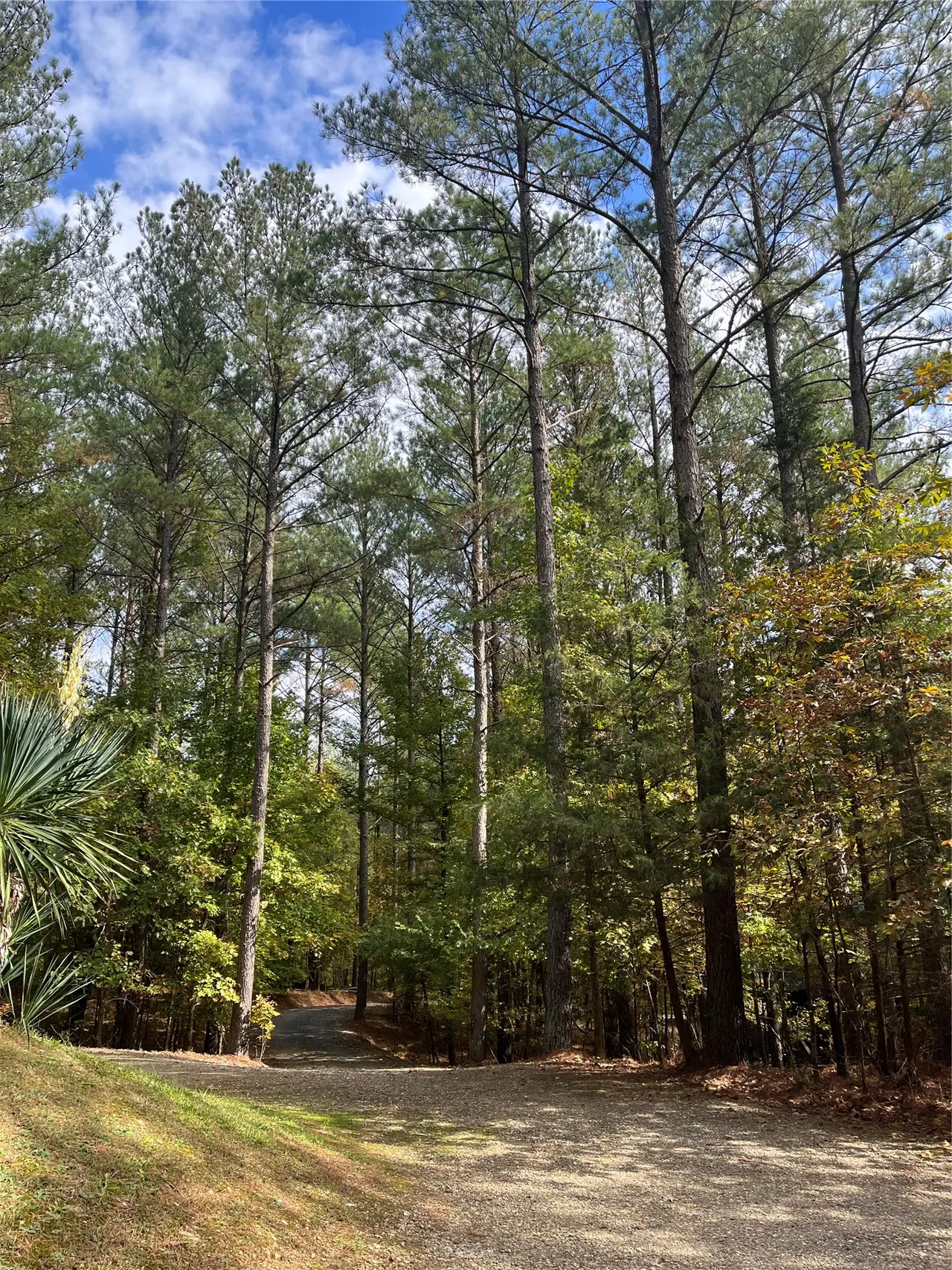 Photo 15 — 57 W High Peak Trail, Broken Bow, OK 74728