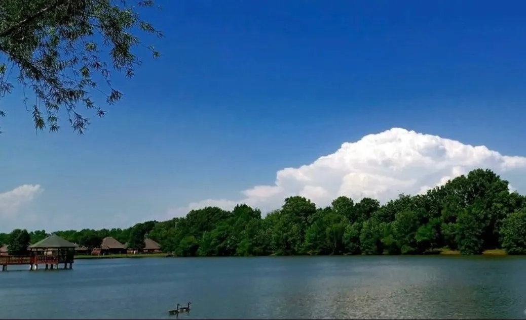 Photo 59 — 26655 Duck Pond Lane, Claremore, OK 74019