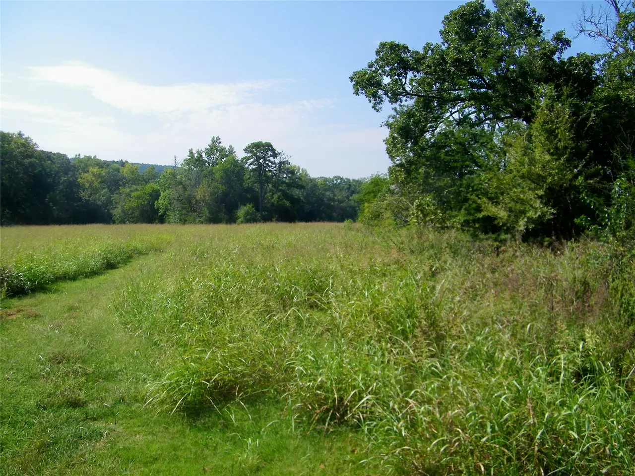 Photo 21 — 901 Sycamore Loop, Broken Bow, OK 74728