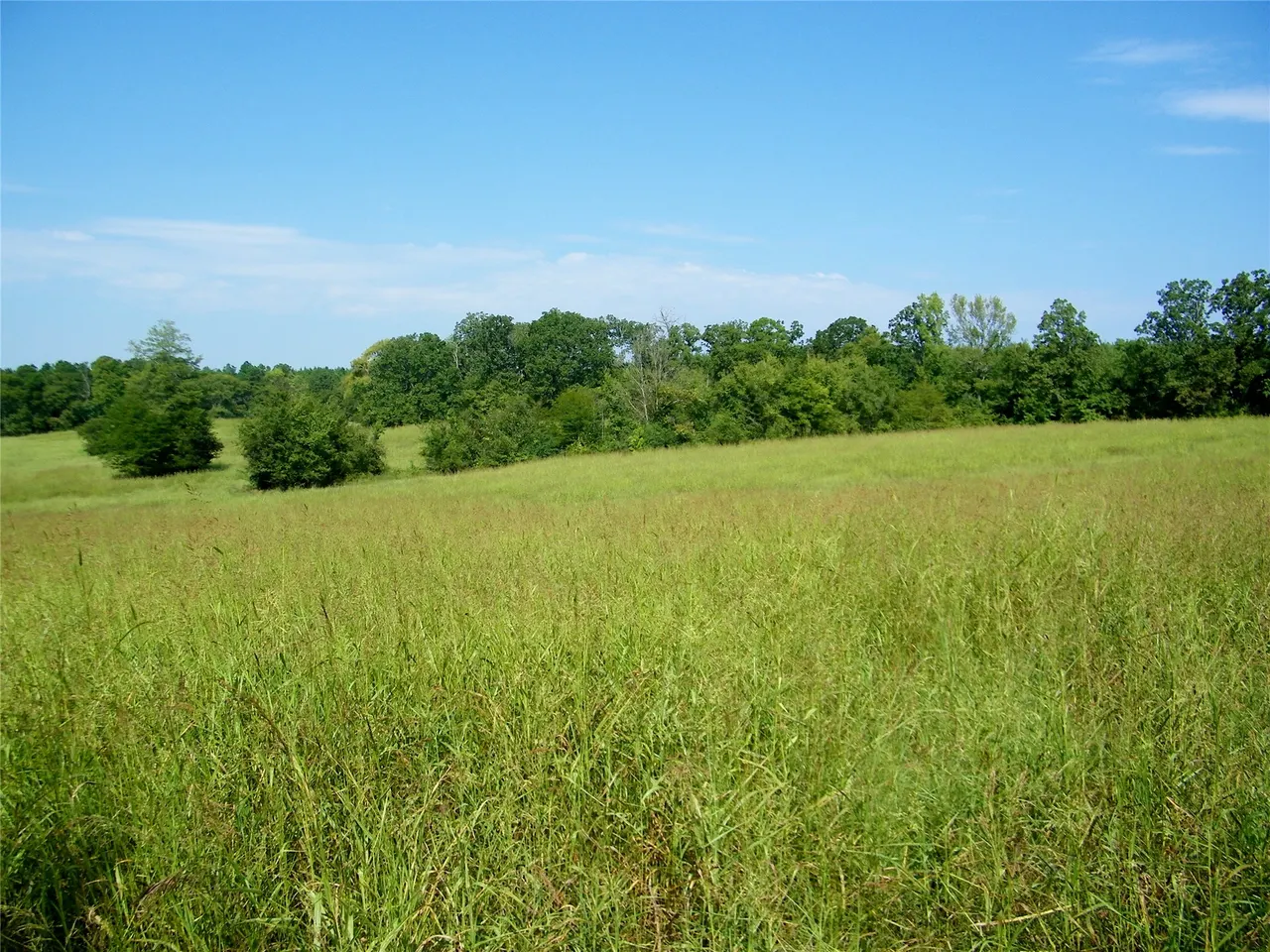 Photo 23 — 901 Sycamore Loop, Broken Bow, OK 74728
