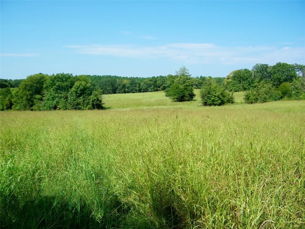 Photo 24 — 901 Sycamore Loop, Broken Bow, OK 74728