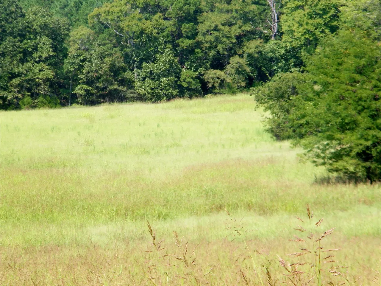 Photo 26 — 901 Sycamore Loop, Broken Bow, OK 74728