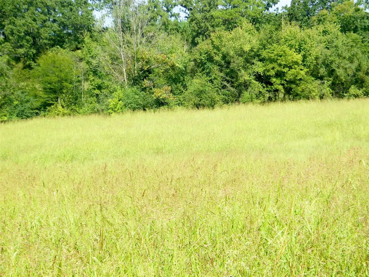 Photo 27 — 901 Sycamore Loop, Broken Bow, OK 74728