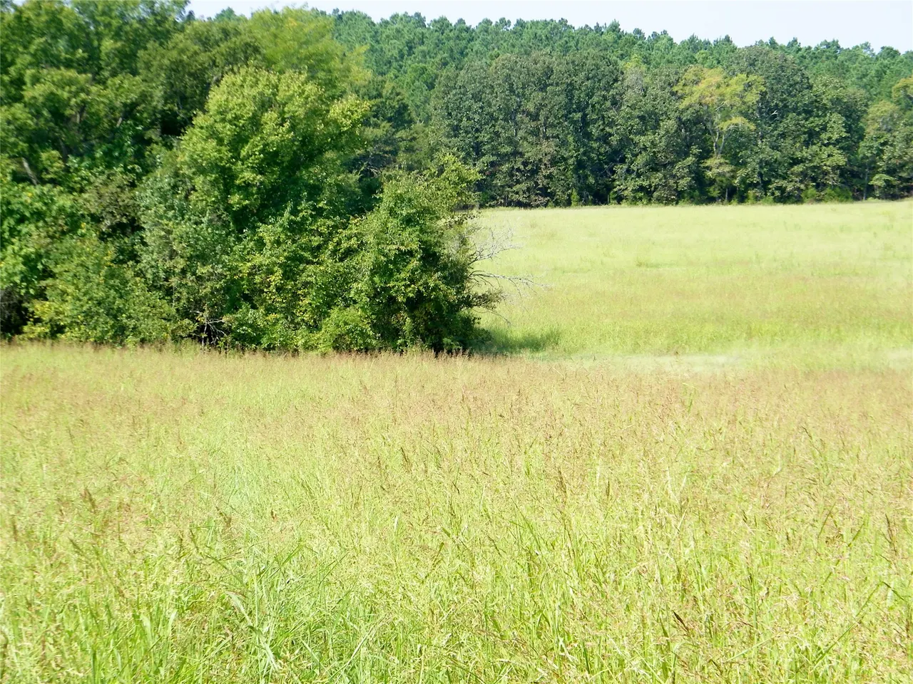 Photo 28 — 901 Sycamore Loop, Broken Bow, OK 74728