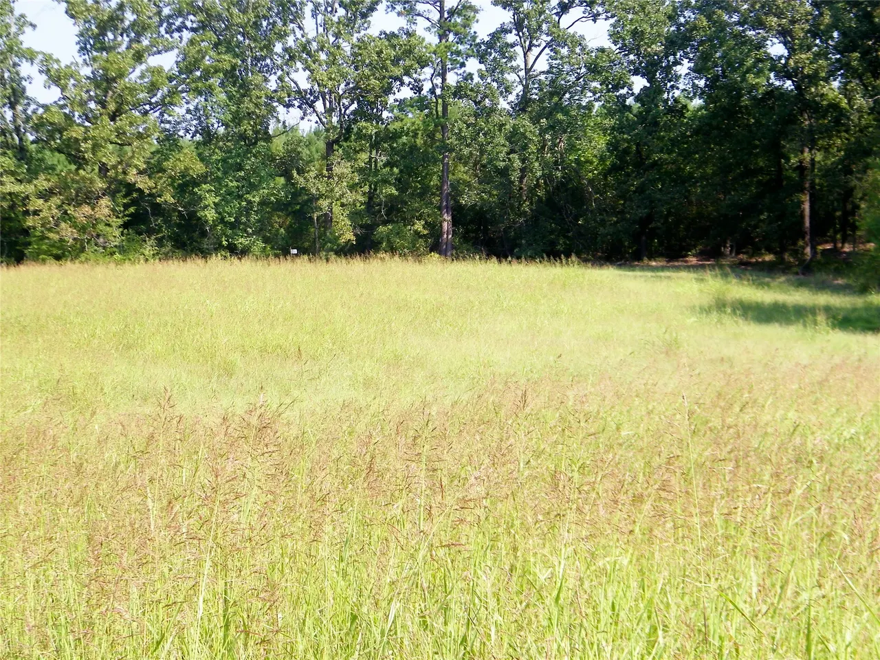 Photo 30 — 901 Sycamore Loop, Broken Bow, OK 74728