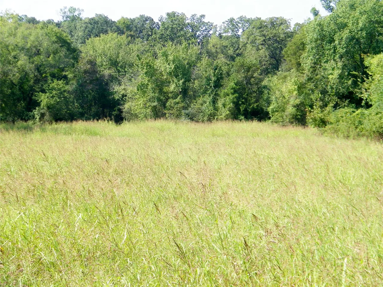 Photo 33 — 901 Sycamore Loop, Broken Bow, OK 74728