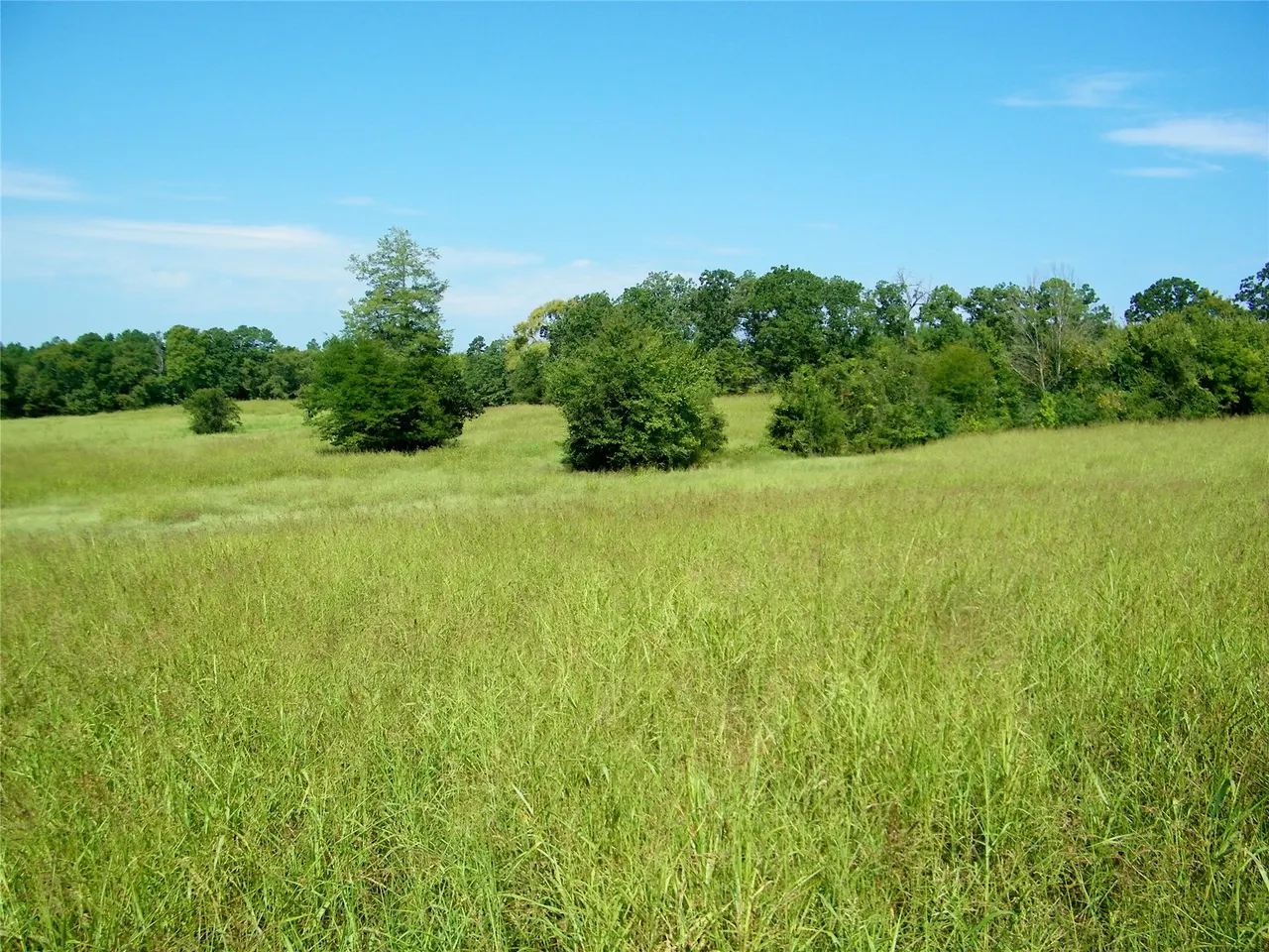 Photo 34 — 901 Sycamore Loop, Broken Bow, OK 74728