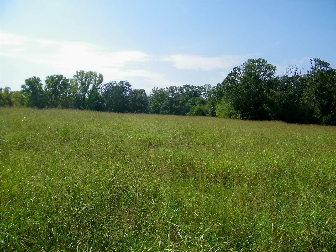 Photo 37 — 901 Sycamore Loop, Broken Bow, OK 74728