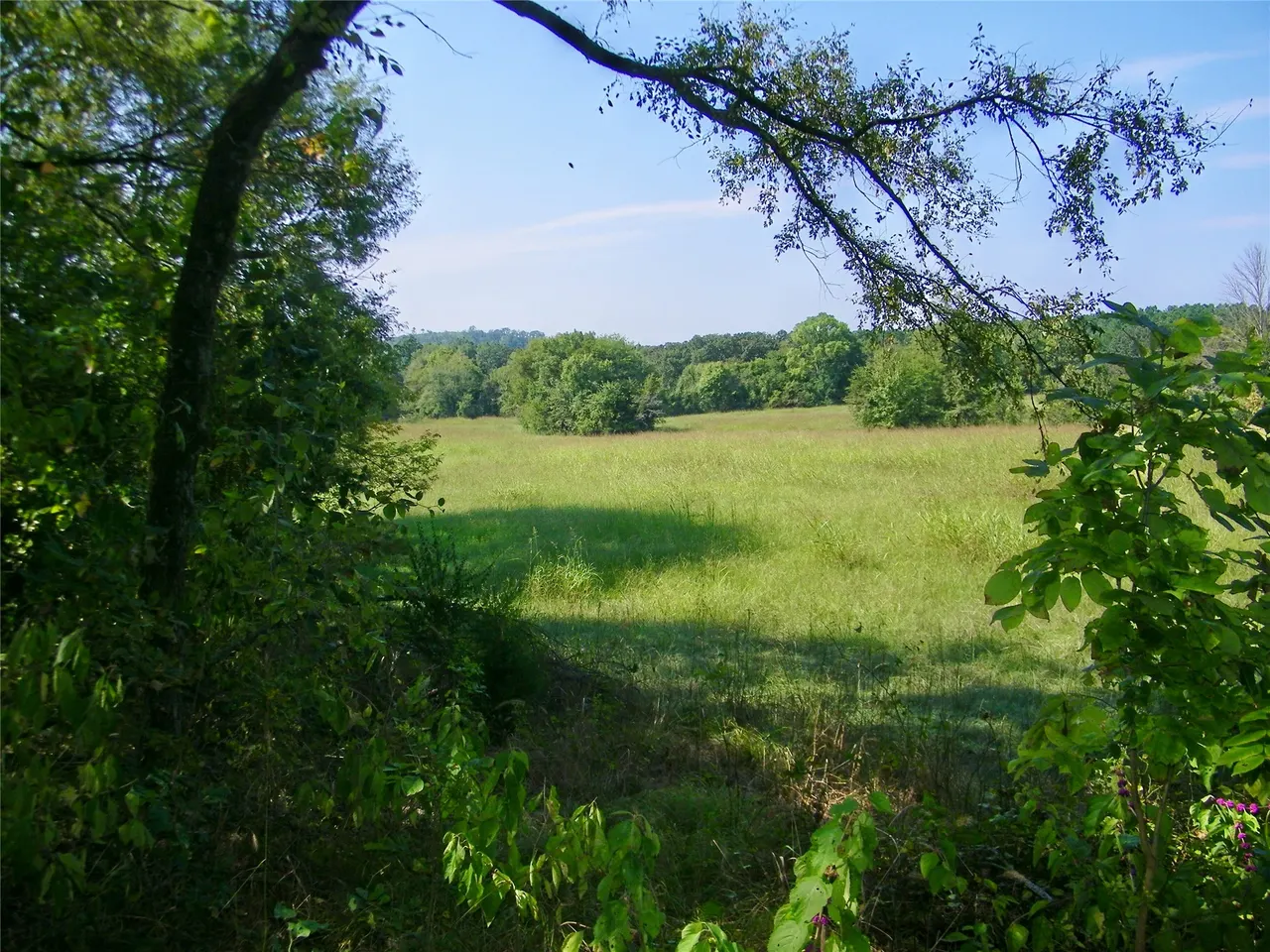 Photo 47 — 901 Sycamore Loop, Broken Bow, OK 74728