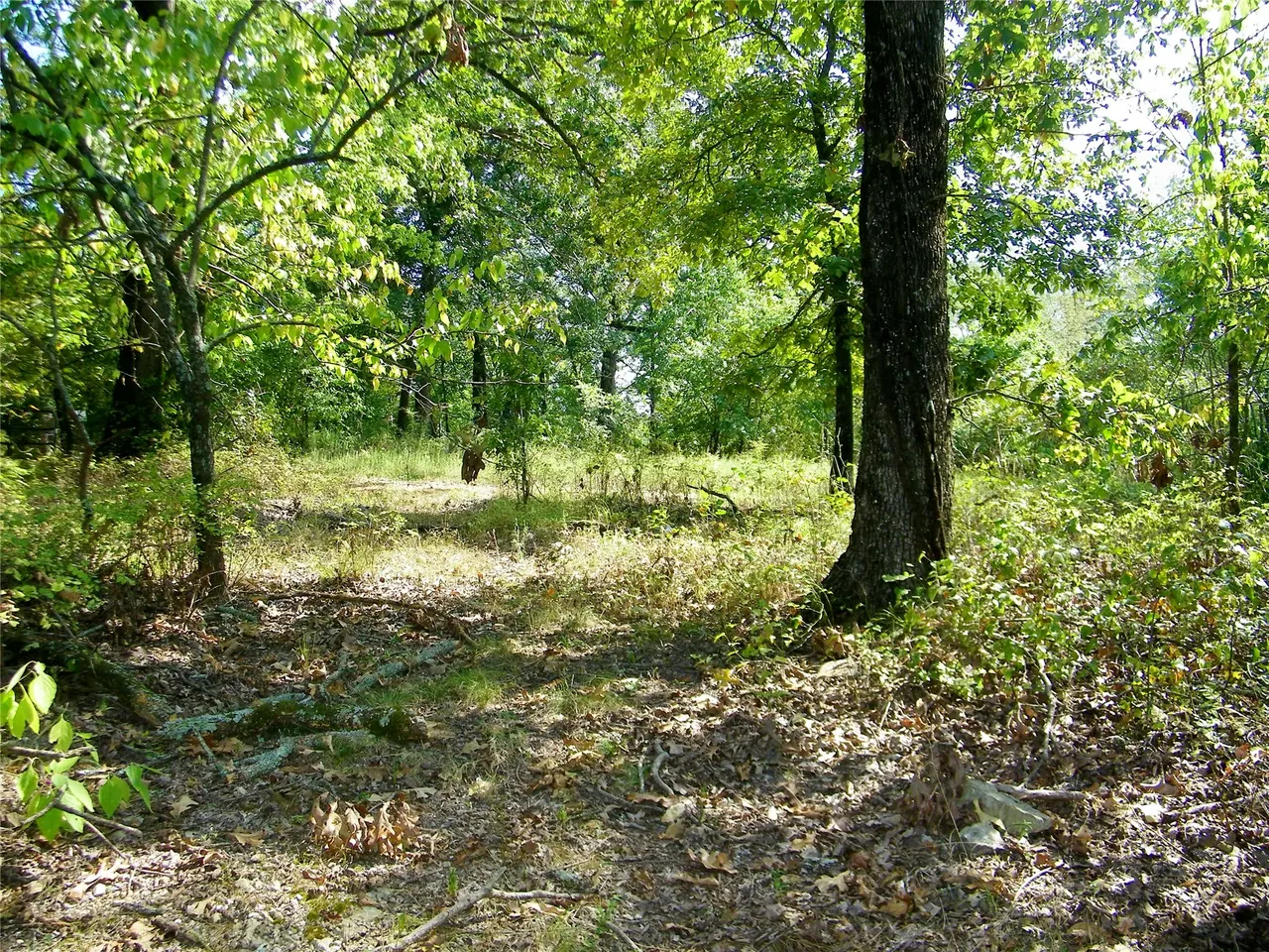 Photo 50 — 901 Sycamore Loop, Broken Bow, OK 74728