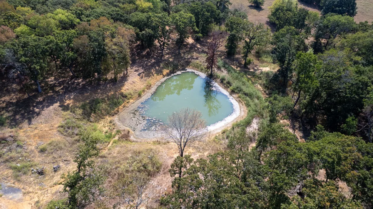 Photo 39 — 3191 N Big Valley Road, Mead, OK 73449