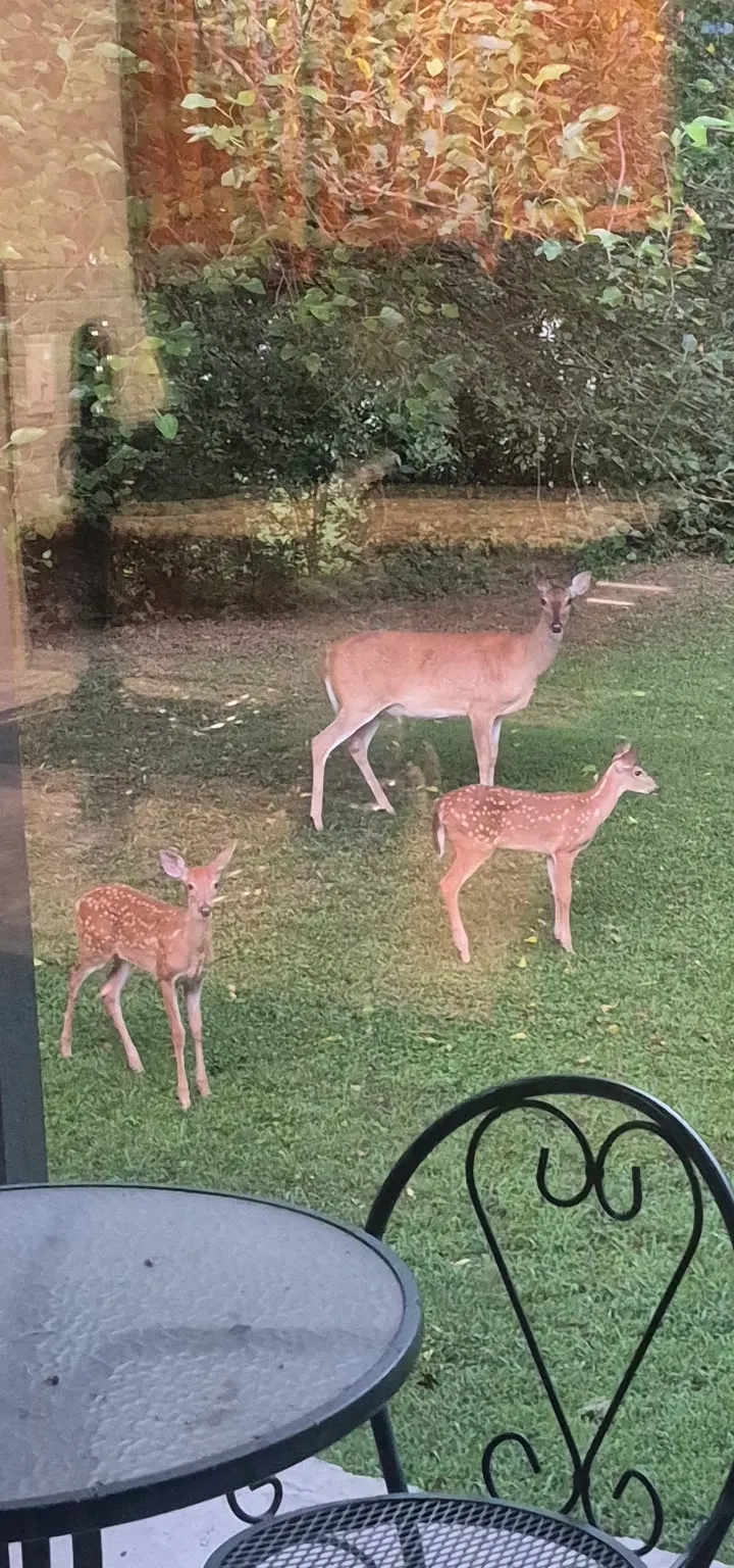 Photo 32 — 614 N 13th Street, Collinsville, OK 74021