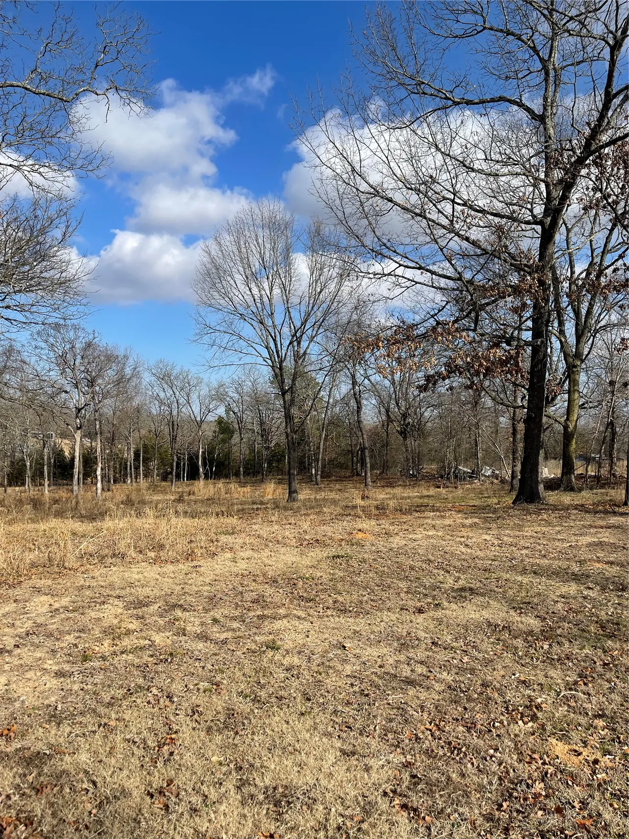 Photo 5 — 12078 S Forrest Hill Road, Atoka, OK 74525