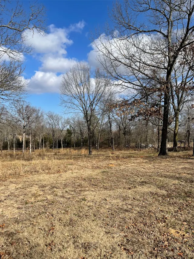 Photo 5 — 12078 S Forrest Hill Road, Atoka, OK 74525