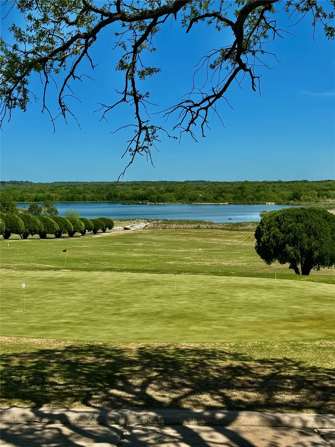 Photo 36 — 55 Falconhead Drive, Burneyville, OK 73430