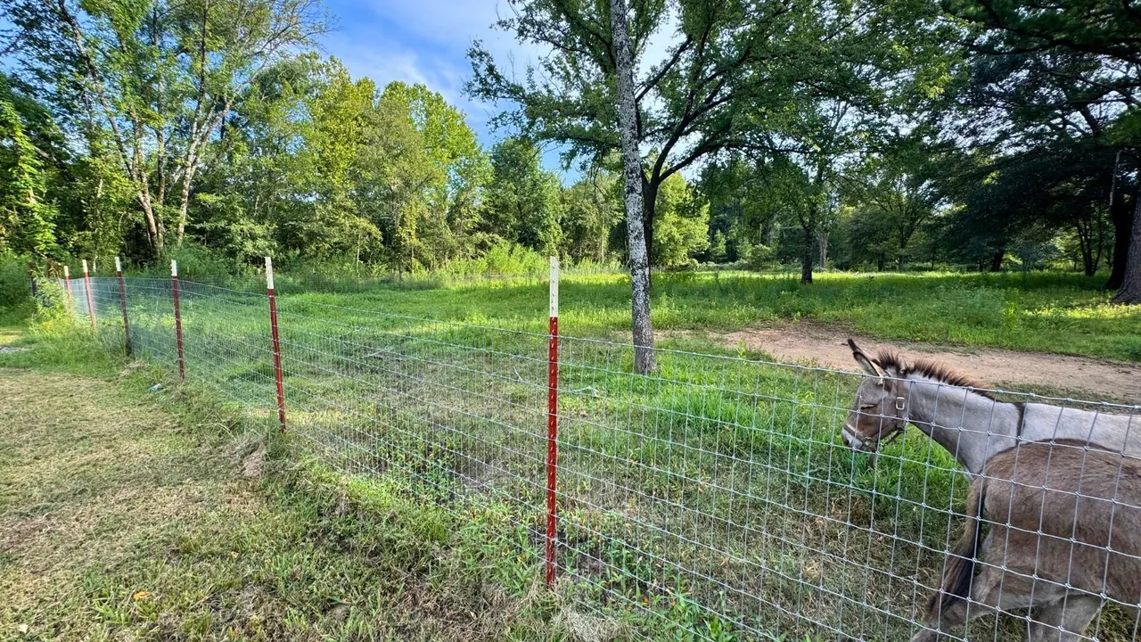 Photo 83 — 52901 201st Avenue, Hodgen, OK 74939