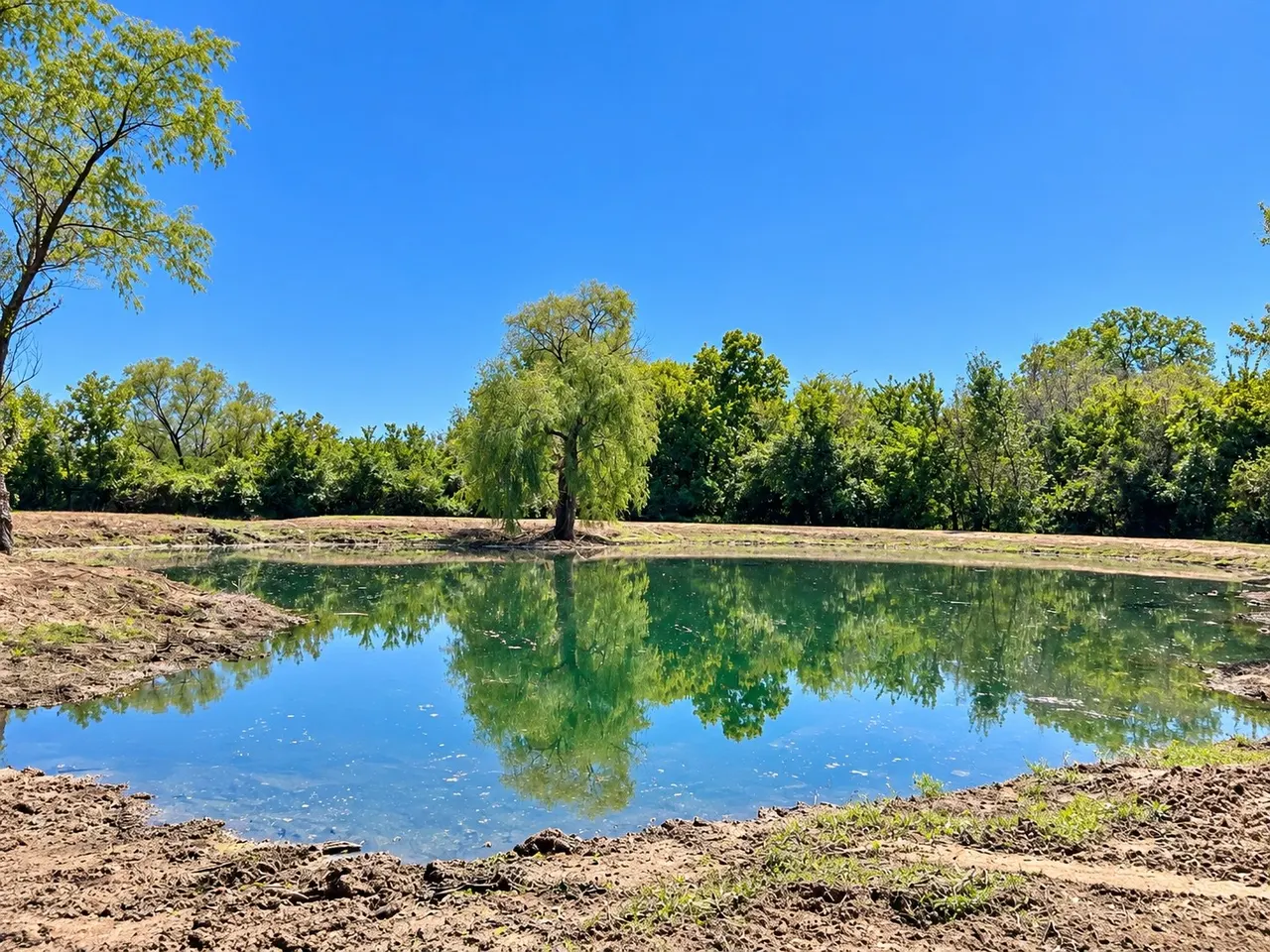 Photo 50 — 12510 Gun Club Road, Okmulgee, OK 74447