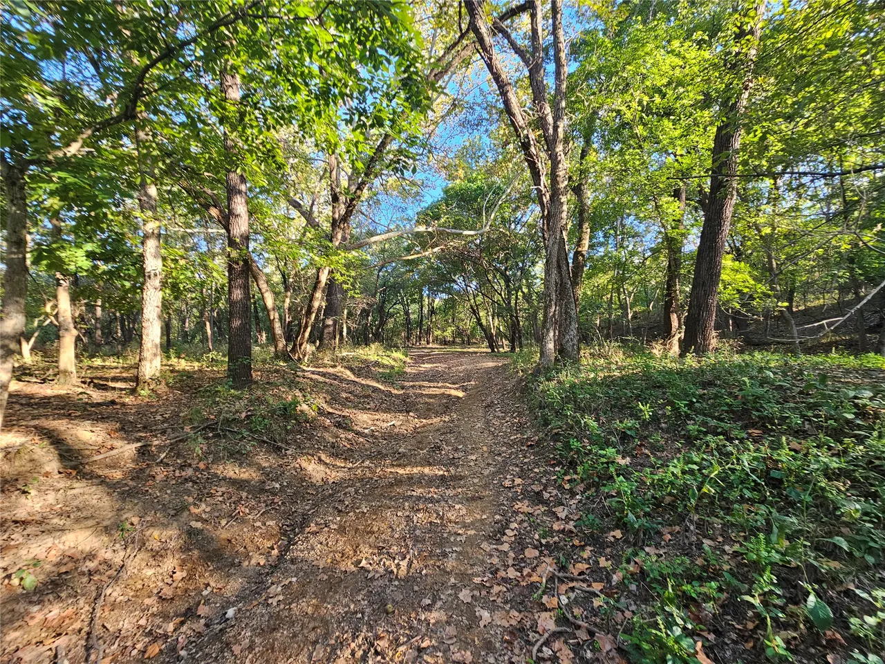 Photo 33 — 18402 E 335 Road, Chelsea, OK 74016
