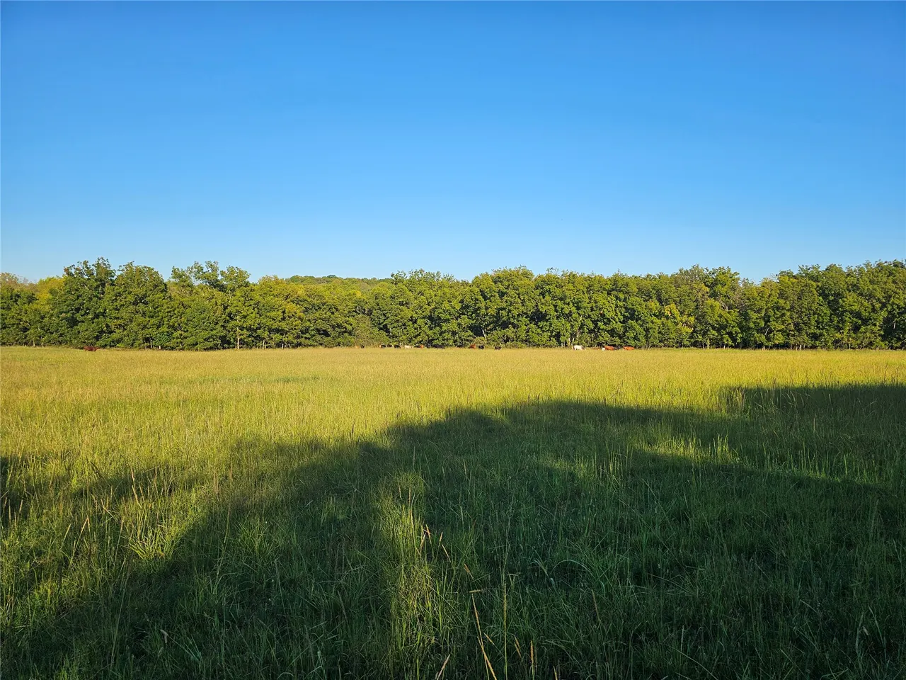 Photo 40 — 18402 E 335 Road, Chelsea, OK 74016