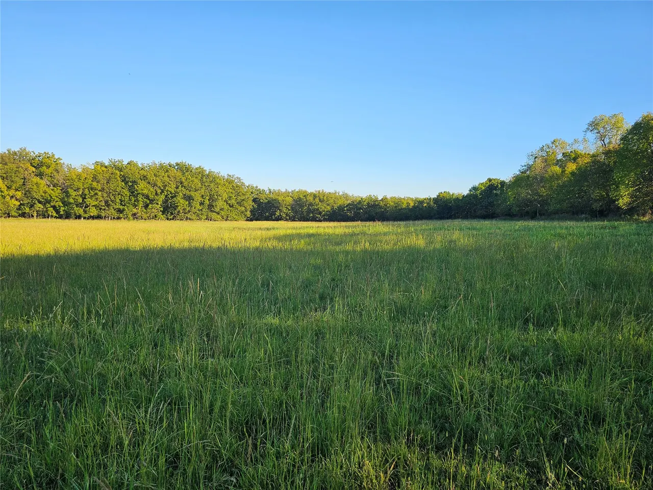 Photo 41 — 18402 E 335 Road, Chelsea, OK 74016