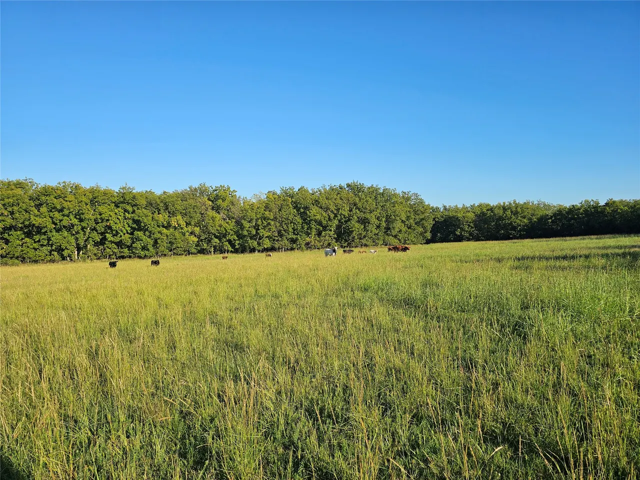 Photo 42 — 18402 E 335 Road, Chelsea, OK 74016