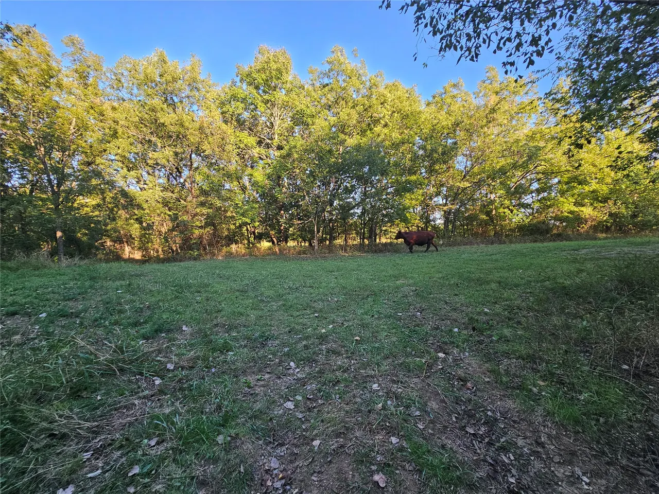 Photo 36 — 18402 E 335 Road, Chelsea, OK 74016