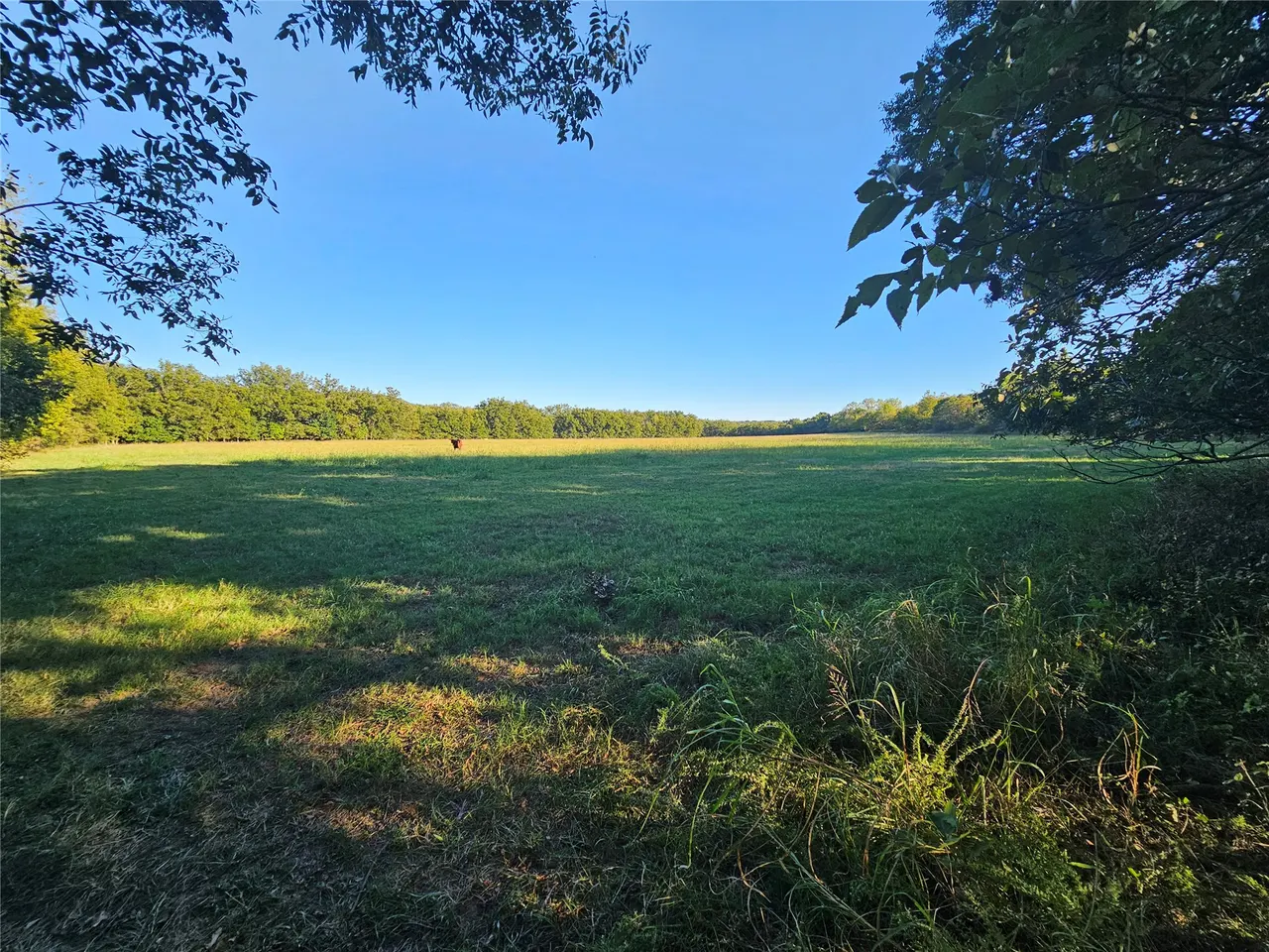 Photo 38 — 18402 E 335 Road, Chelsea, OK 74016