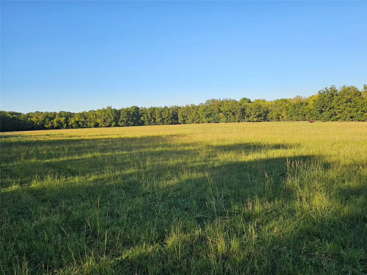 Photo 39 — 18402 E 335 Road, Chelsea, OK 74016