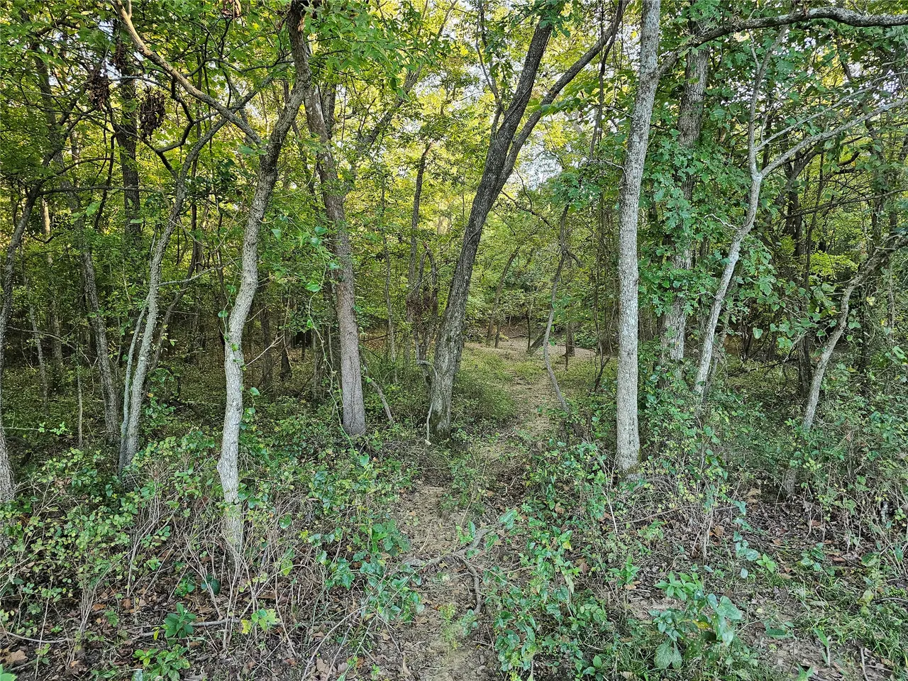 Photo 47 — 18402 E 335 Road, Chelsea, OK 74016