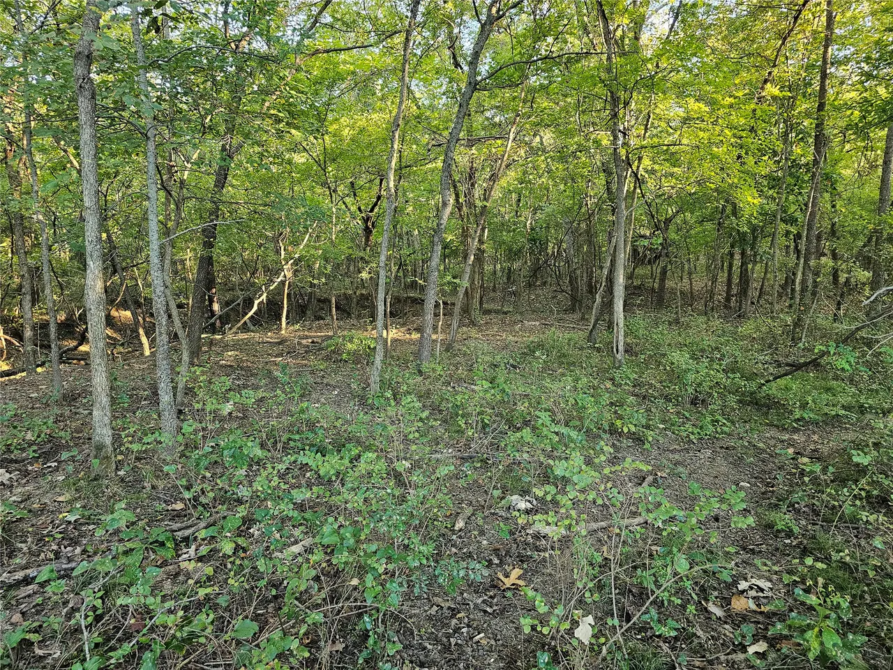 Photo 48 — 18402 E 335 Road, Chelsea, OK 74016