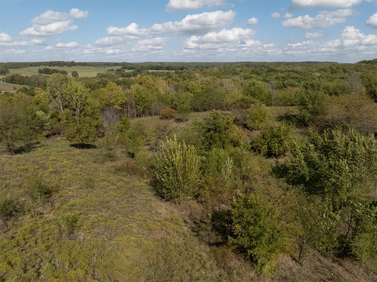 Photo 67 — 18402 E 335 Road, Chelsea, OK 74016