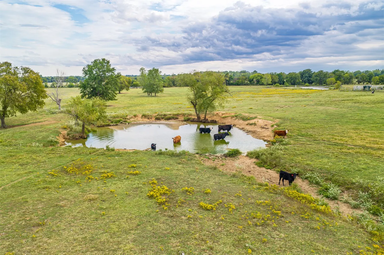 Photo 95 — 815 W 90th Street, Wagoner, OK 74467