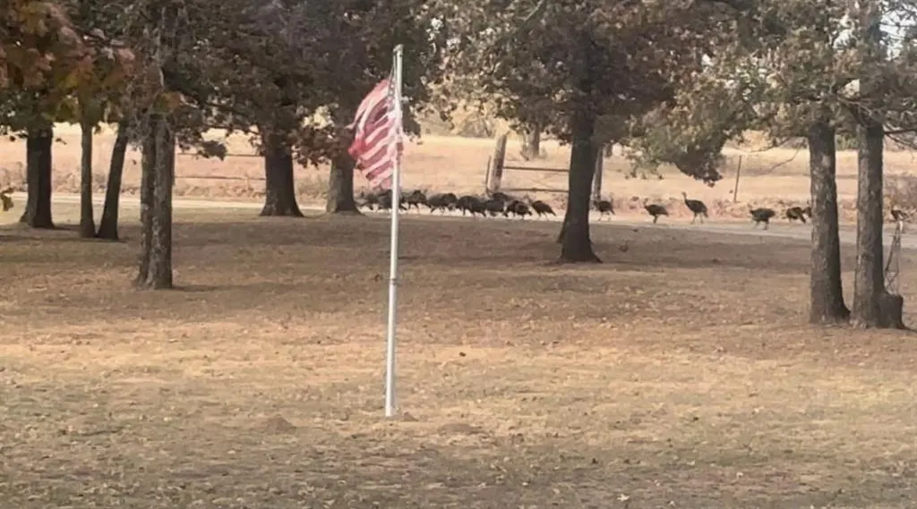 Photo 45 — 36354 EW 1140 Road, Seminole, OK 74868