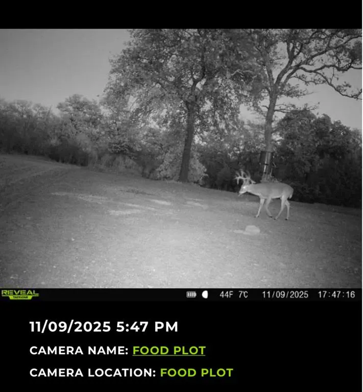 Photo 49 — 36354 EW 1140 Road, Seminole, OK 74868