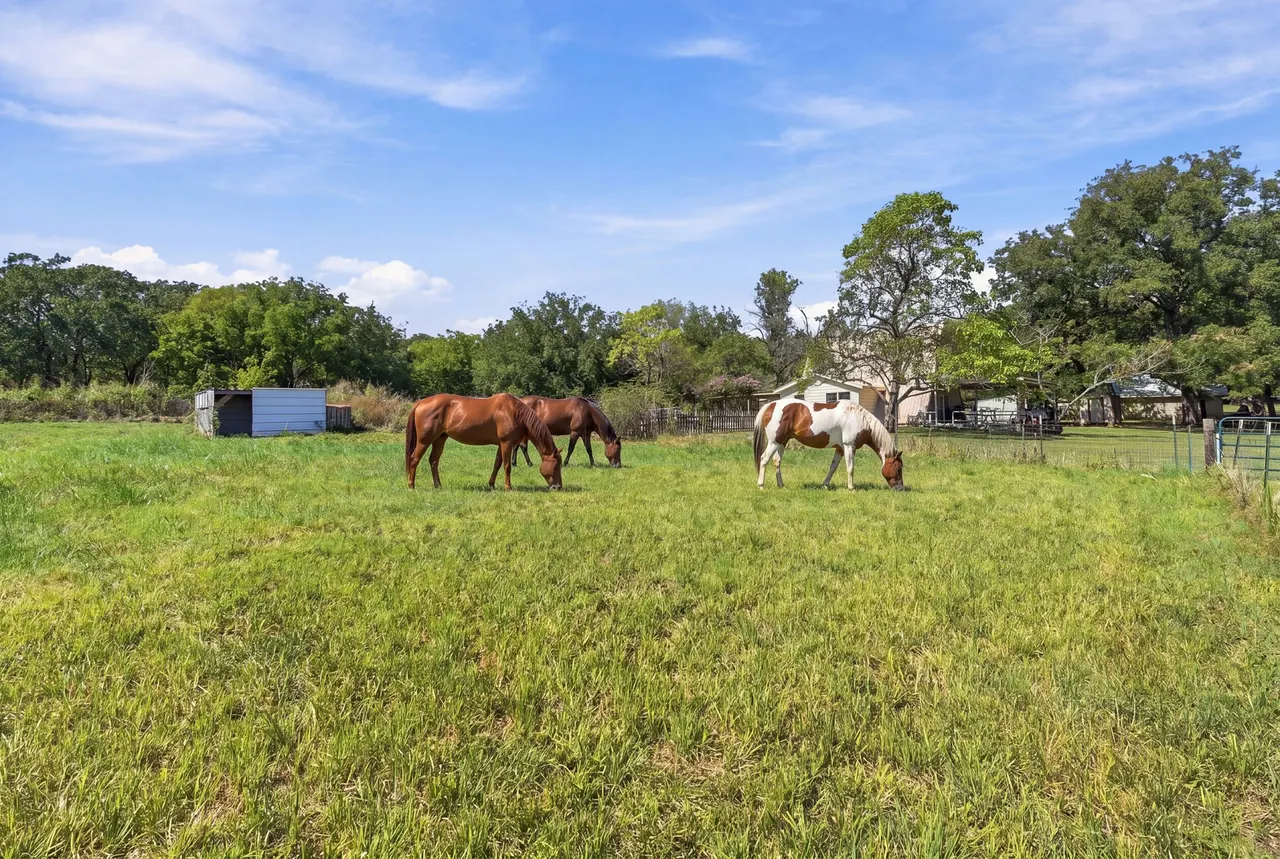 Photo 39 — 14046 N 365 Road, Hulbert, OK 74441