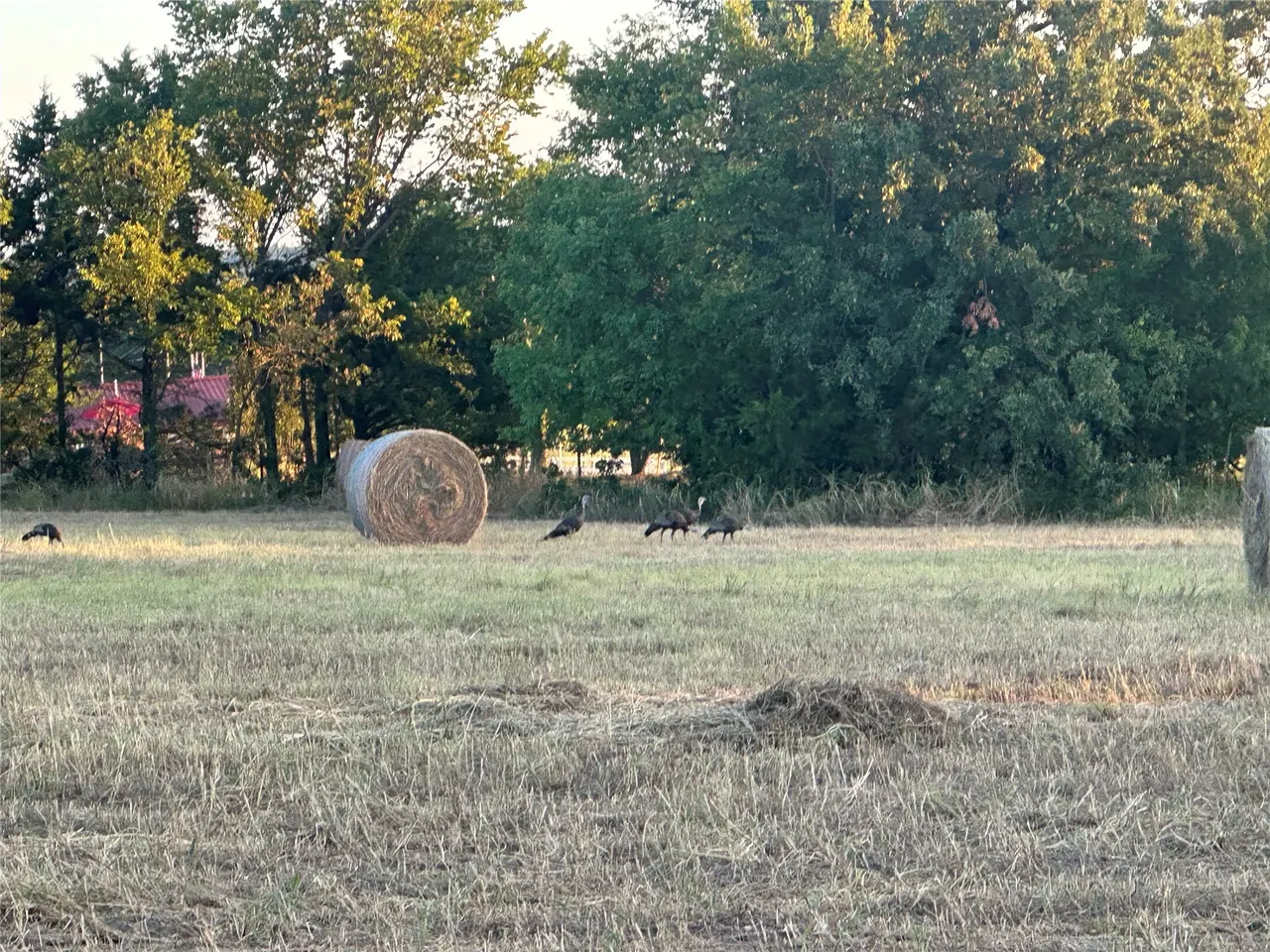 Photo 54 — 11011 S 513th West Avenue, Drumright, OK 74030