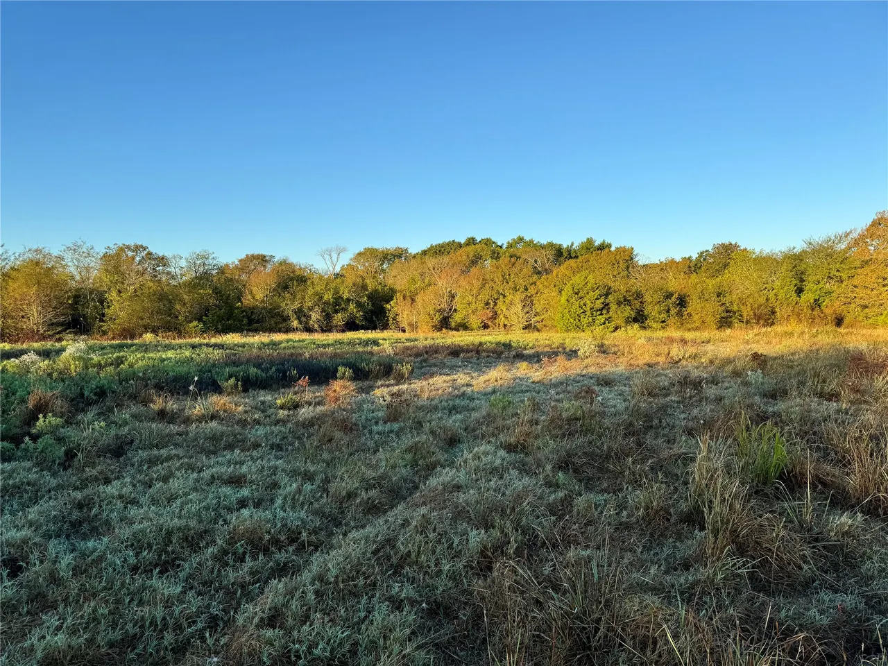 Photo 9 — 409212 E County Road 1790, Moyers, OK 74557