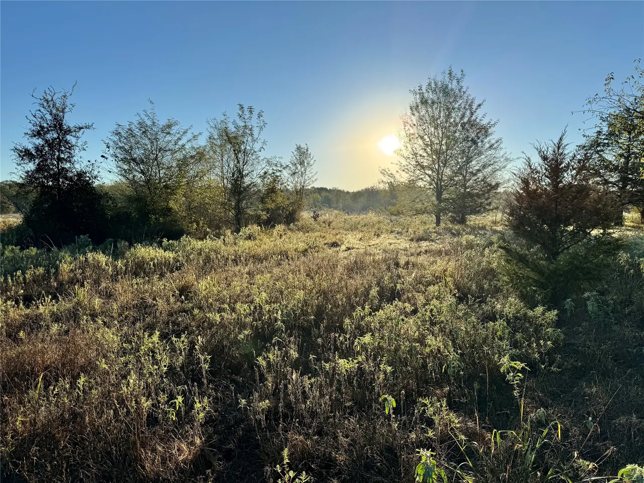 Photo 12 — 409212 E County Road 1790, Moyers, OK 74557
