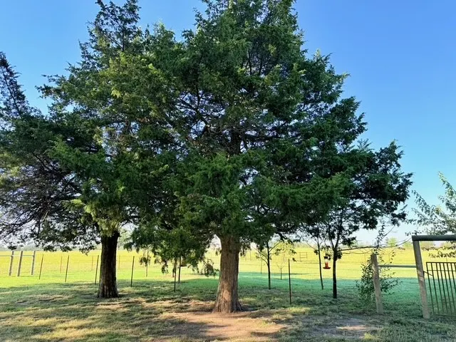 Photo 19 — 12413 S 114th W, Oktaha, OK 74450