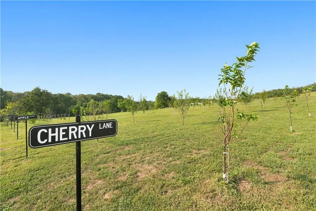 Photo 44 — 8800 Fred Austin, Decatur, AR 72722