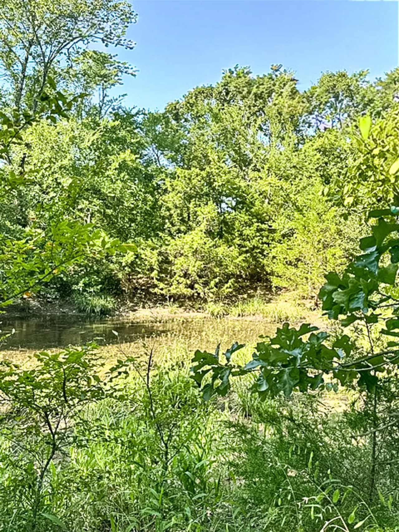 Photo 40 — 30115 P 4280 D Drive, Quinton, OK 74561