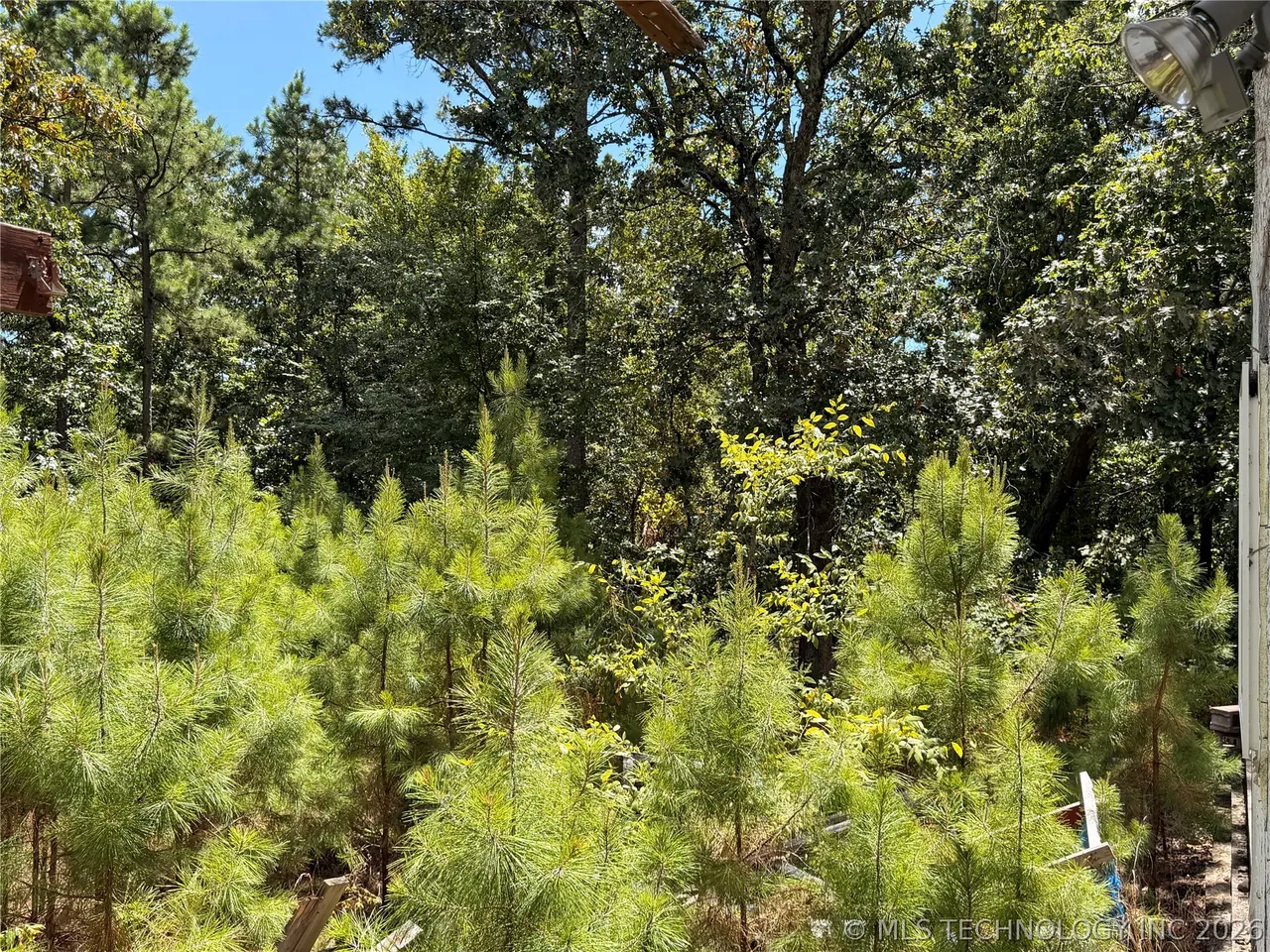 Photo 23 — 16508 Round Mtn, Howe, OK 74940