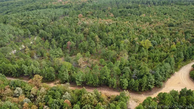 Photo 2 — 16508 Round Mtn, Howe, OK 74940