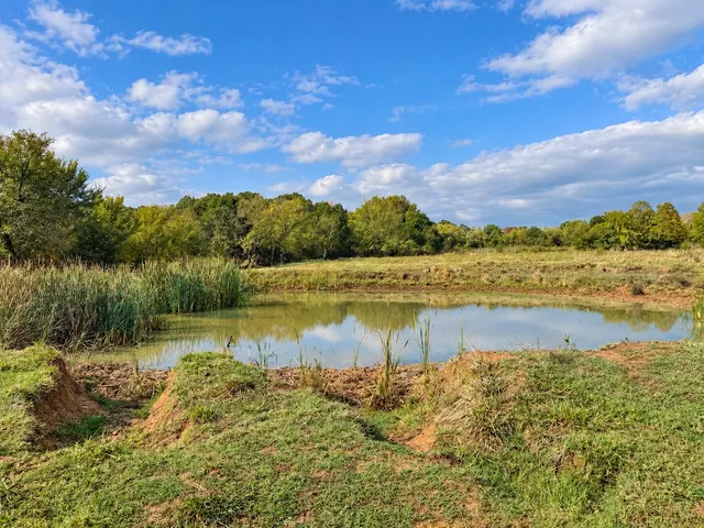 Photo 8 — 22985 S 155th St E, Webbers Falls, OK 74470