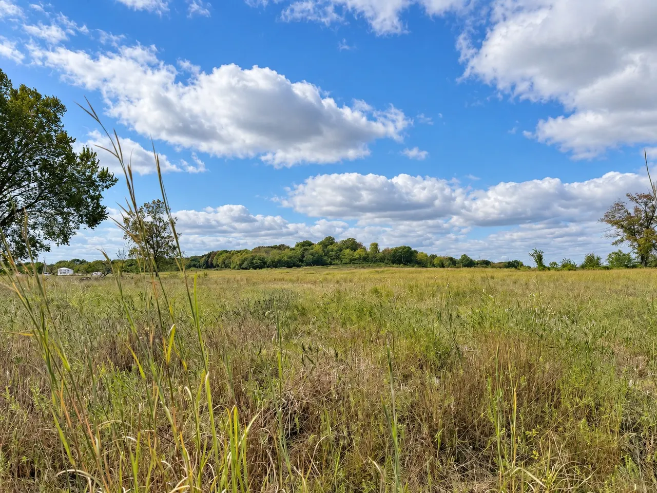 Photo 14 — 22985 S 155th St E, Webbers Falls, OK 74470